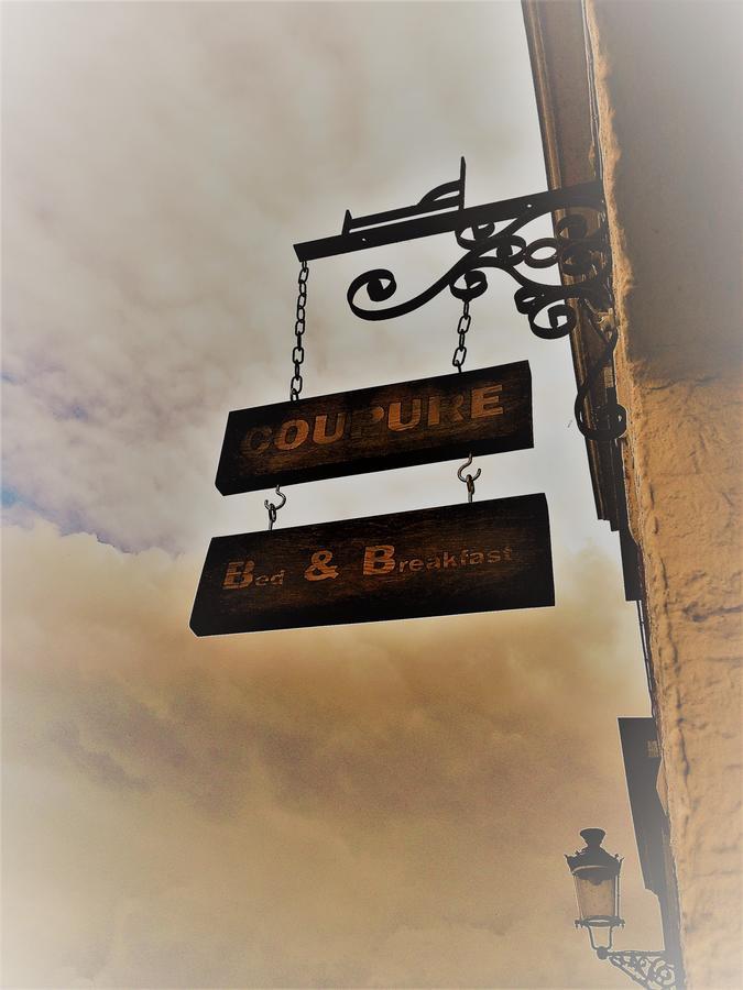 B&B Coupure Bruges Esterno foto